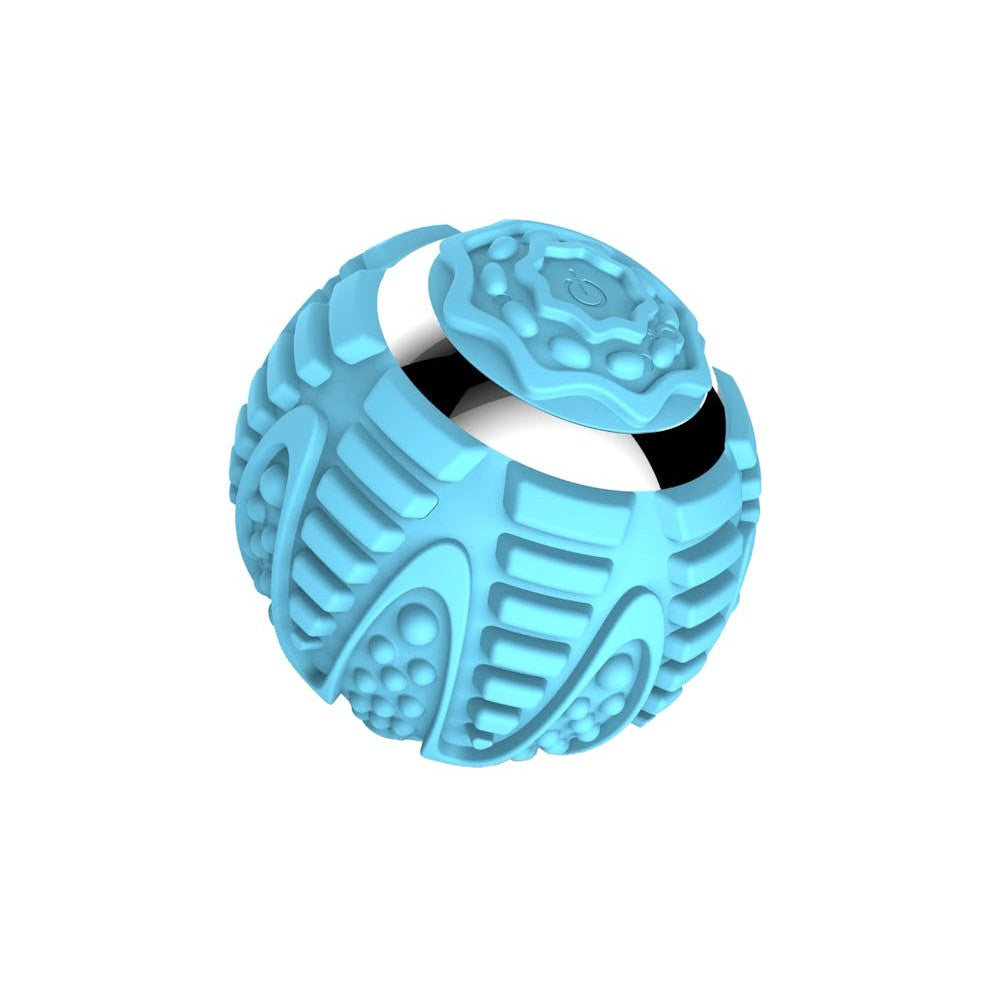 Wellcare EVA Wireless Vibration Ball (Blue)